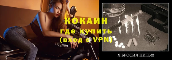 прущие грибы Богданович