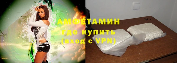 прущие грибы Богданович