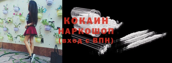 прущие грибы Богданович