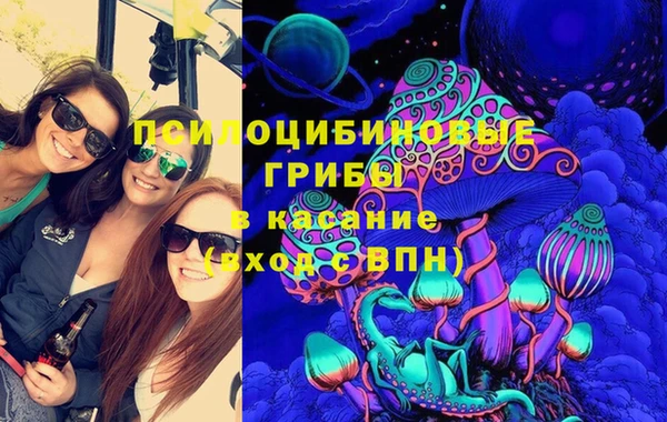 прущие грибы Богданович