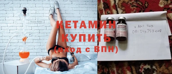 прущие грибы Богданович
