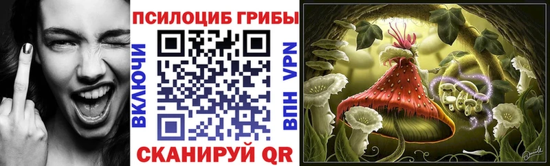 Псилоцибиновые грибы MAGIC MUSHROOMS  мориарти наркотические препараты  Кострома 